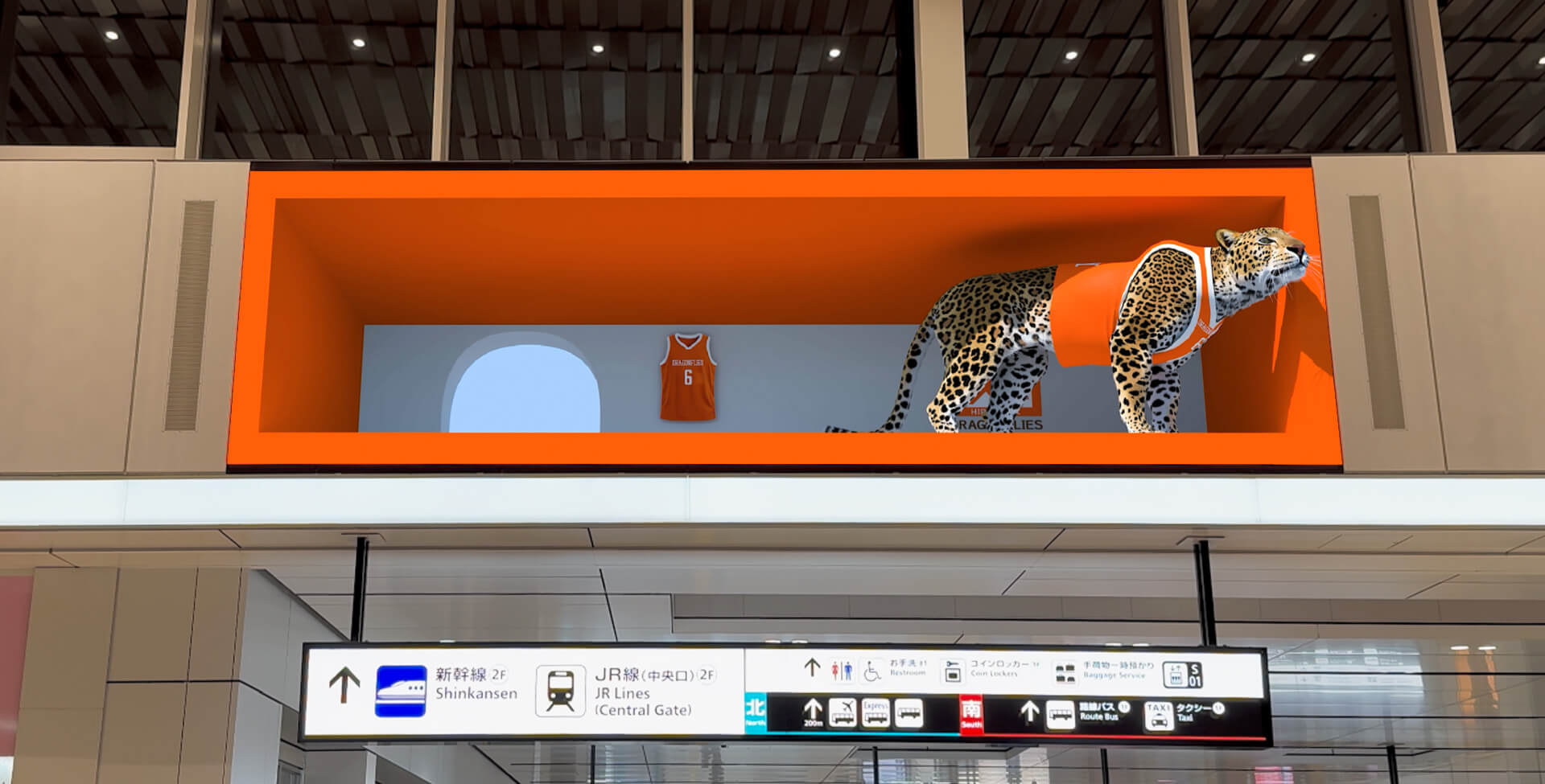 【裸眼3D映像】広島駅「オイスタービジョン」アカツキ第2弾_広島ドラゴンフライズ