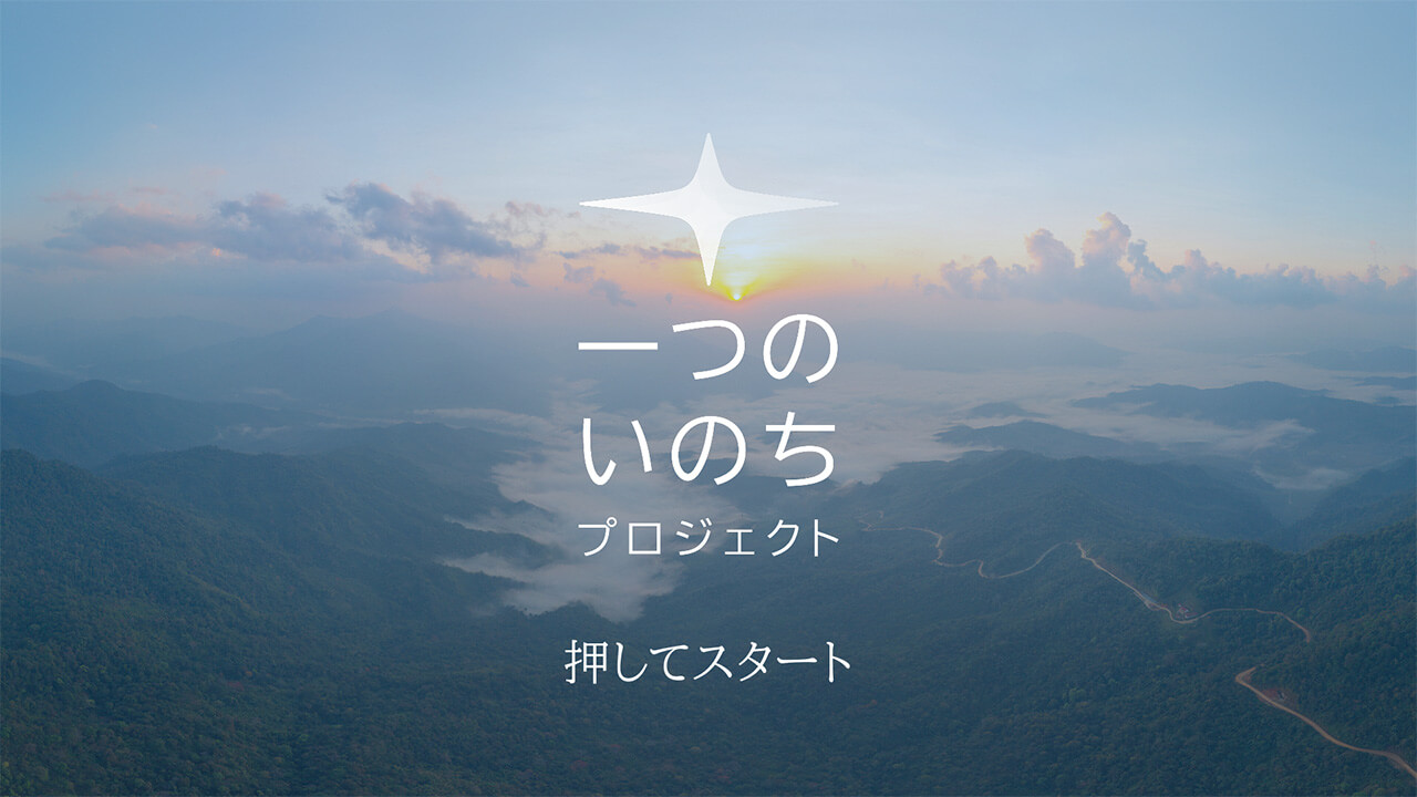 劇場公開15周年記念「サマーウォーズ展」体験シーン１