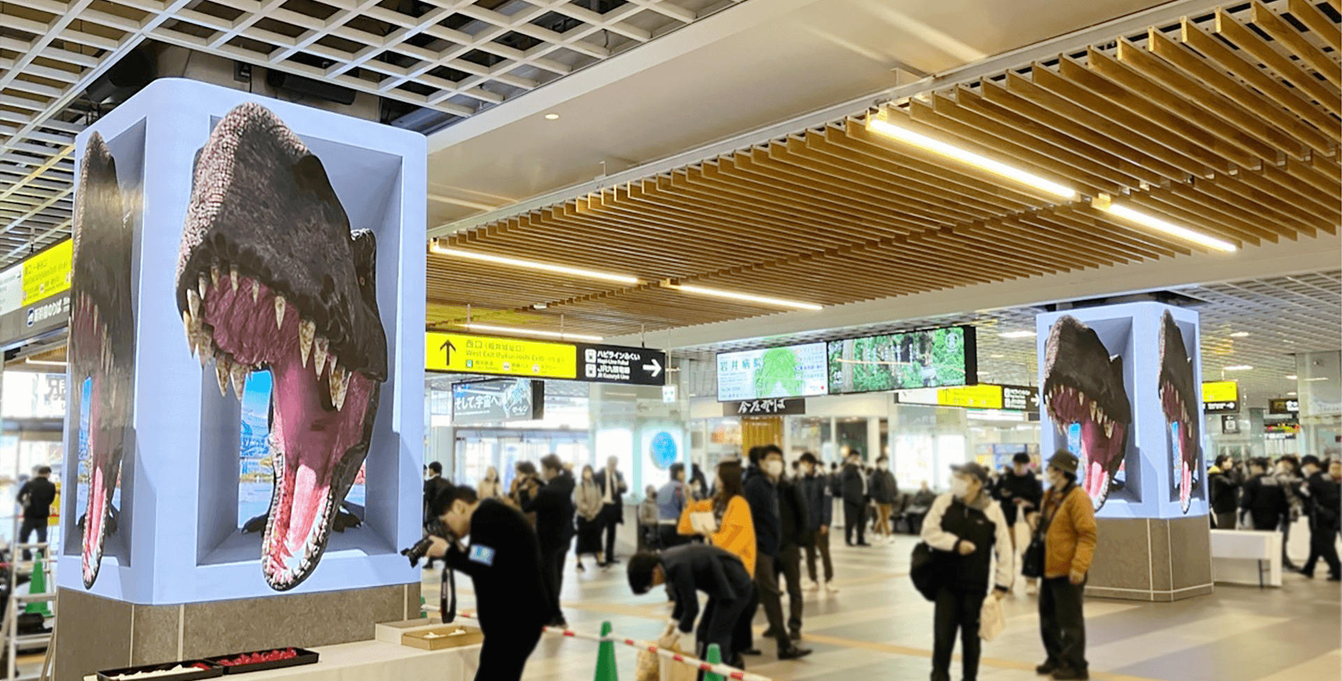 福井駅 恐竜T-REX 実績写真