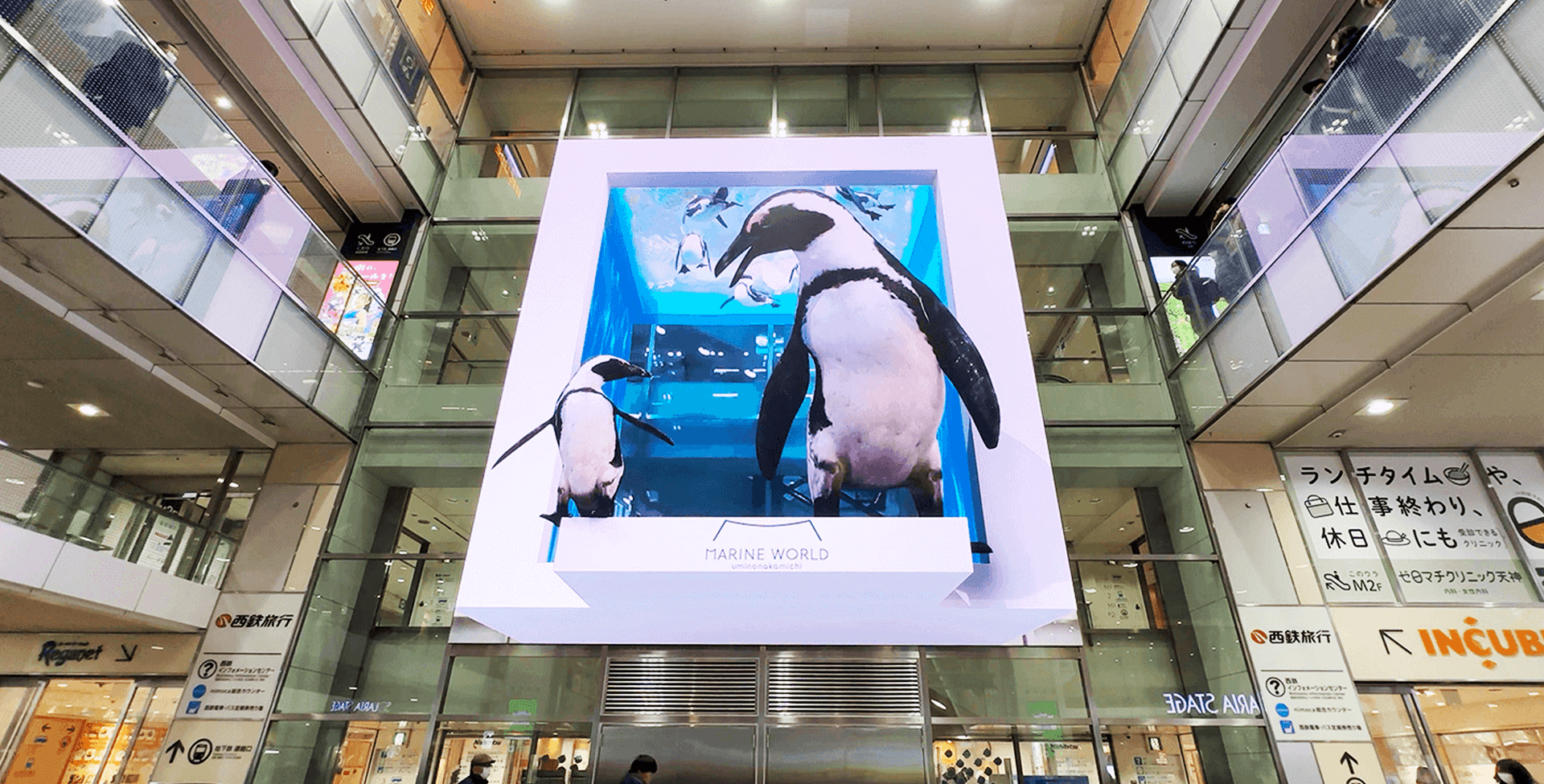 西鉄福岡（天神）駅の縦長平面LEDビジョン「SOLARIA DAIGAMEN」に映るペンギンの裸眼3D映像